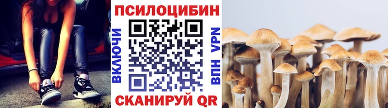 Псилоцибиновые грибы Cubensis  Моздок 
